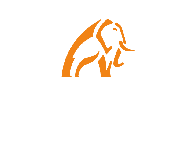 NIBM Towercranes